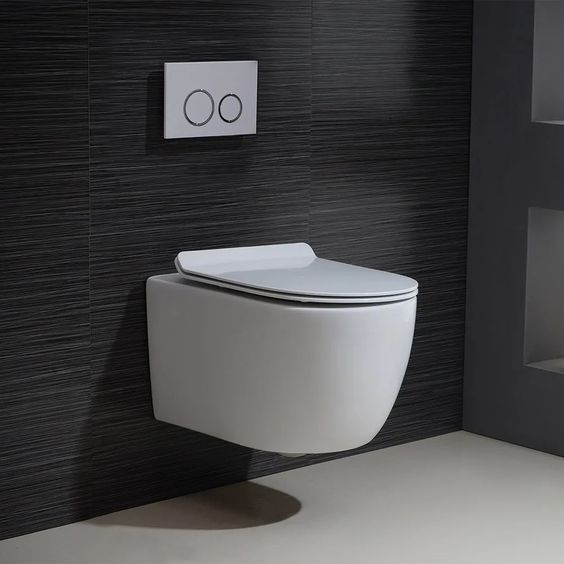 wall mounted toilet