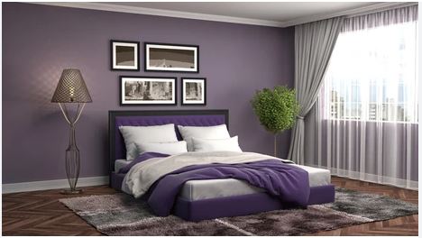 Lavender and Black Combination interior