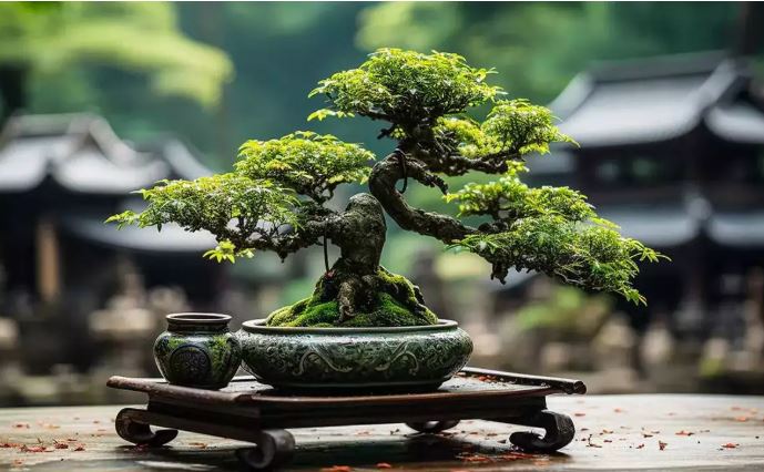 Recommended Vastu Indoor Plants Don’t Include Bonsai