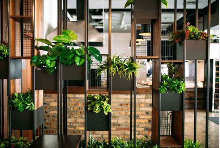 Plant-Wall-Kitchen-Partition.